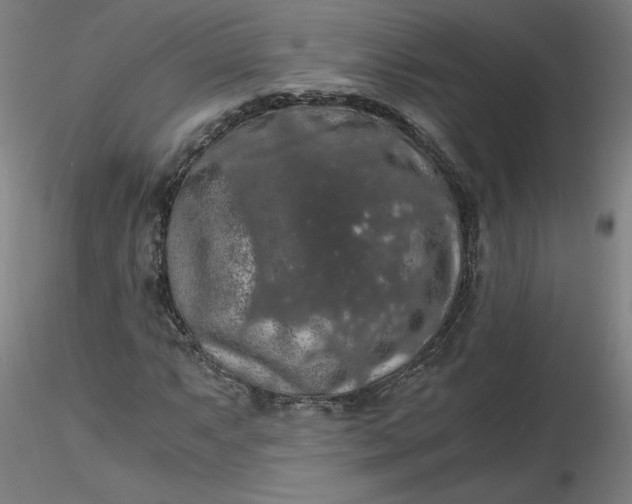 X0000116481063200912231126