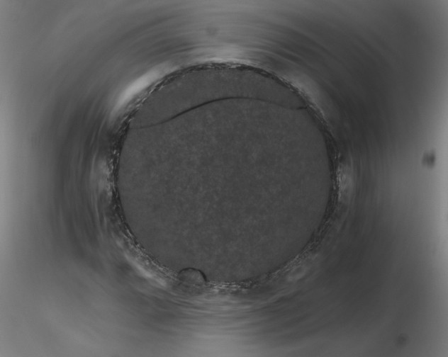 X0000116481064200912231126