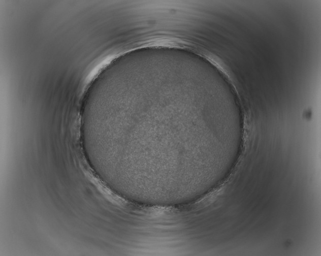 X0000116481067200912231126