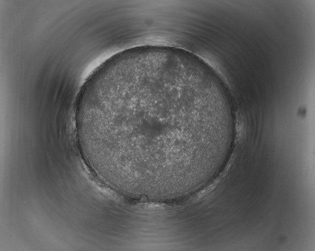 X0000116481070200912231126