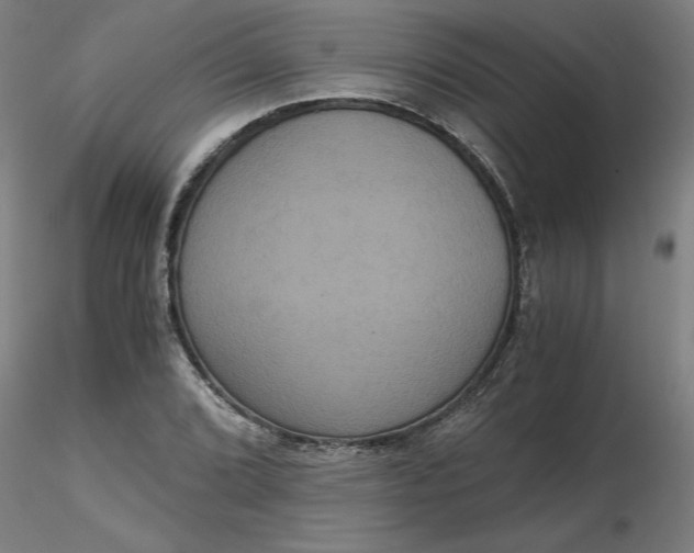 X0000116481072200912231126