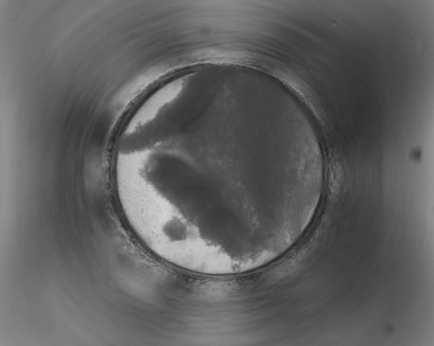 X0000116481074200912231126