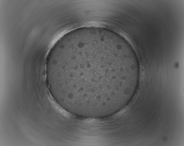 X0000116481075200912231125