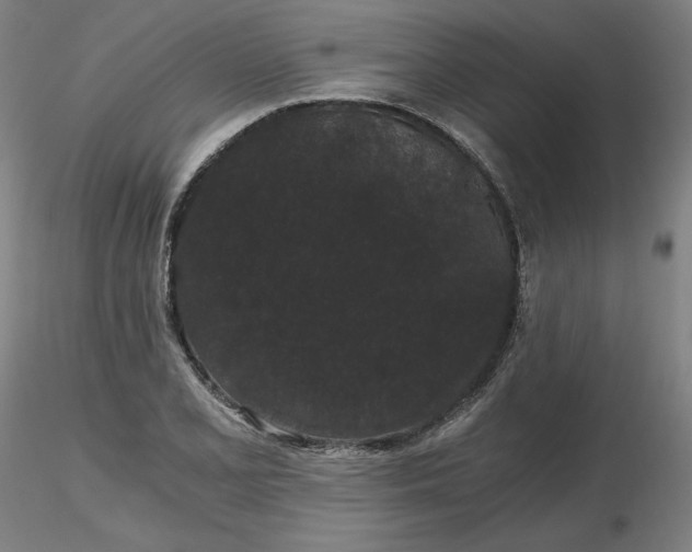 X0000116481077200912231125