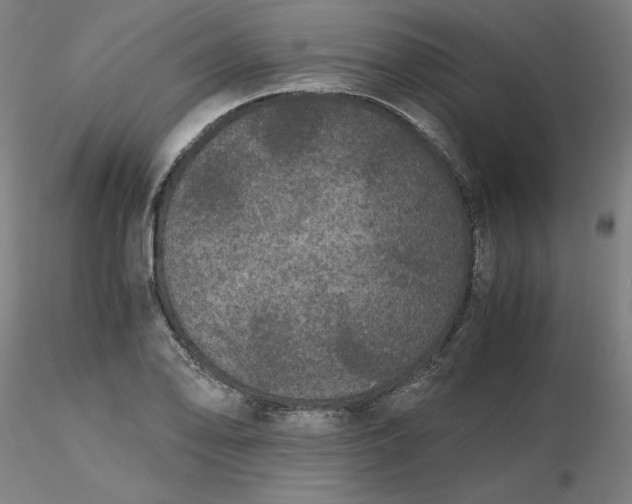 X0000116481078200912231125