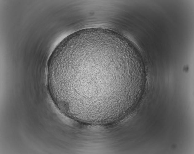 X0000116481079200912231125