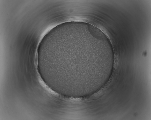 X0000116481080200912231125