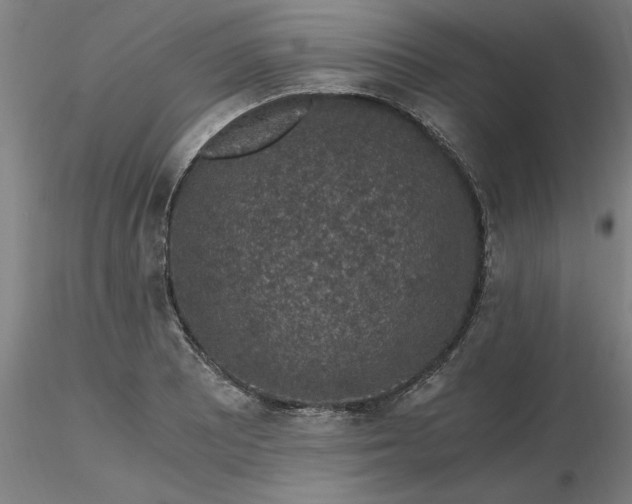 X0000116481081200912231125