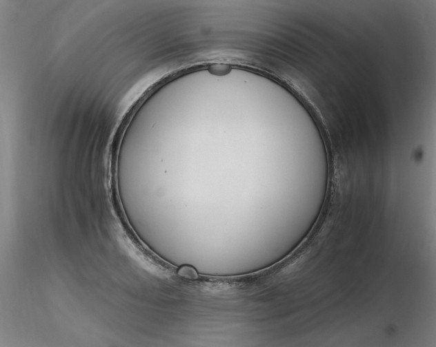 X0000116481082200912231125