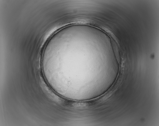 X0000116481083200912231125