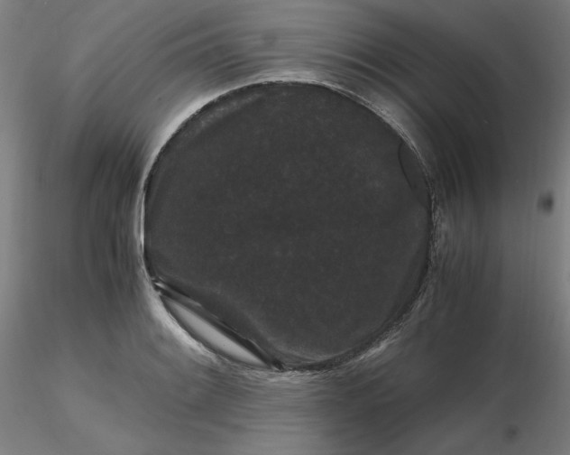 X0000116481084200912231125