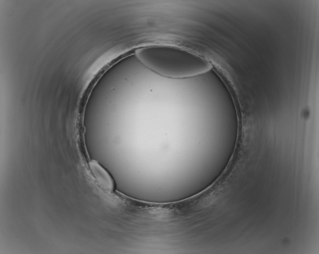 X0000116481085200912231125