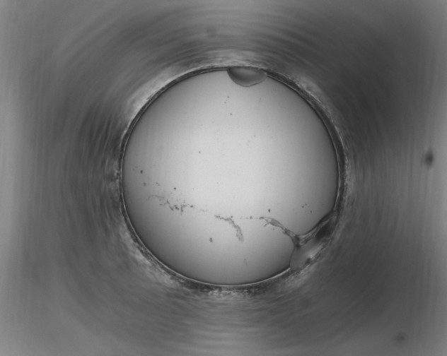 X0000116481089200912231125