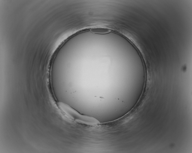 X0000116481093200912231125