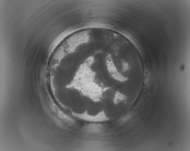 X0000116481094200912231125