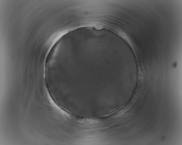 X0000116481095200912231125