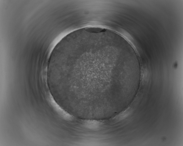 X0000116481100200912231125