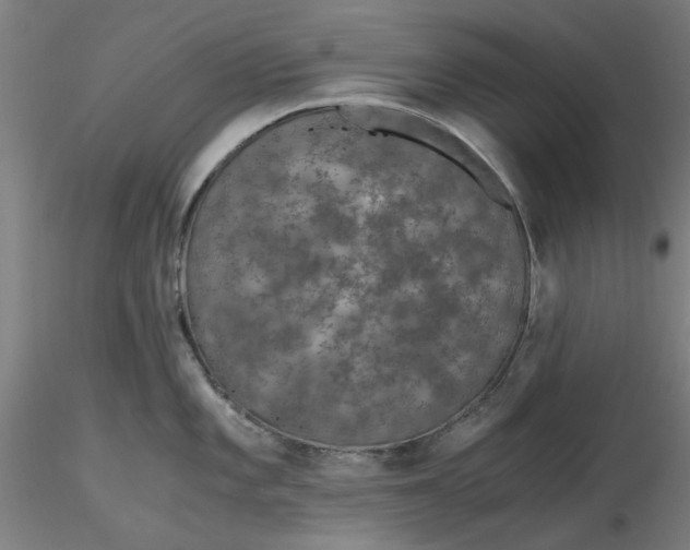 X0000116481101200912231125