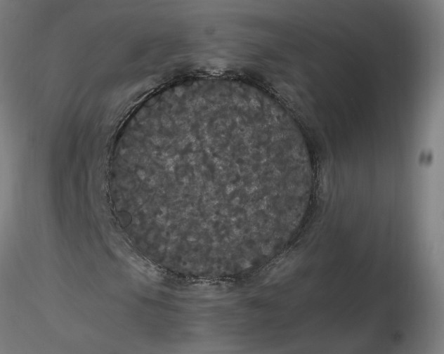 X0000116481105200912231124