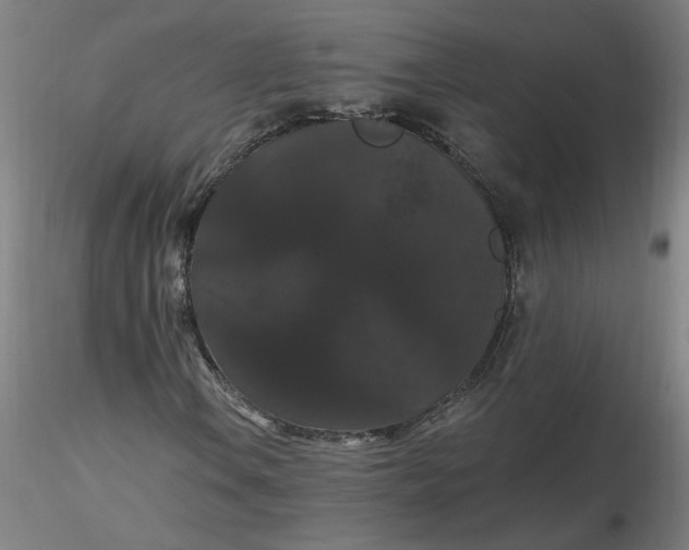 X0000116481106200912231124