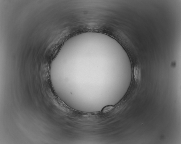 X0000116481107200912231124