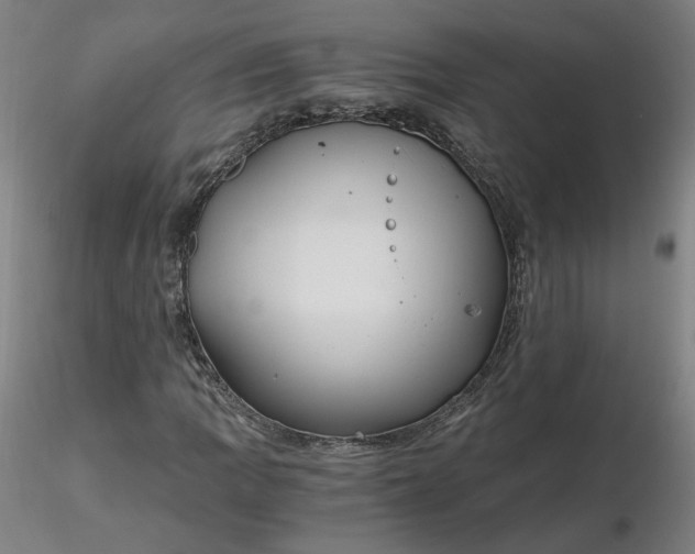 X0000116481109200912231125