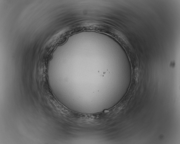 X0000116481111200912231125