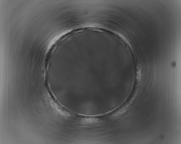 X0000116481117200912231125