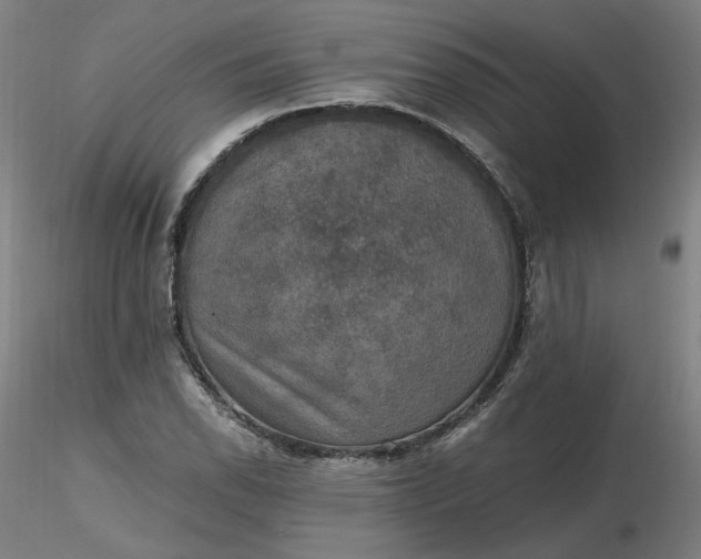 X0000116481118200912231125