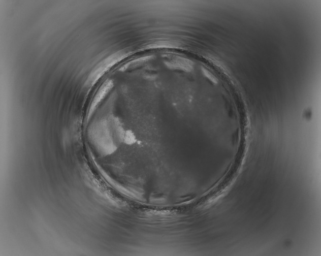 X0000116481121200912231125