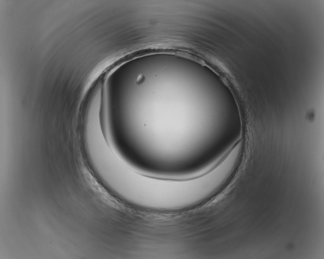 X0000116481122200912231125