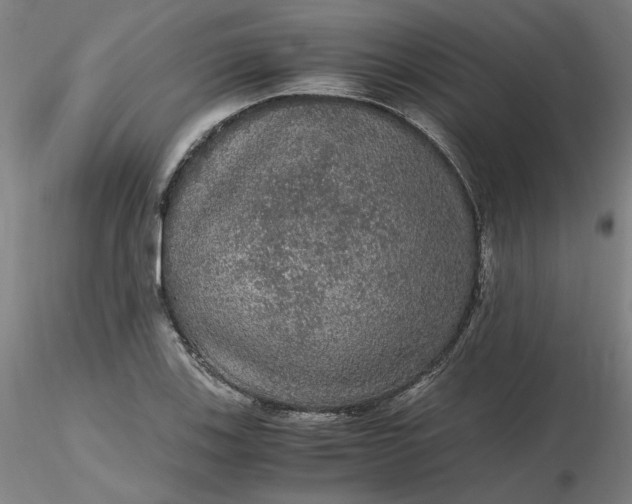 X0000116481123200912231125