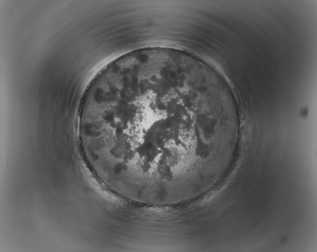 X0000116481125200912231125