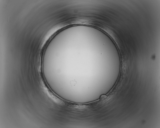 X0000116481131200912231125