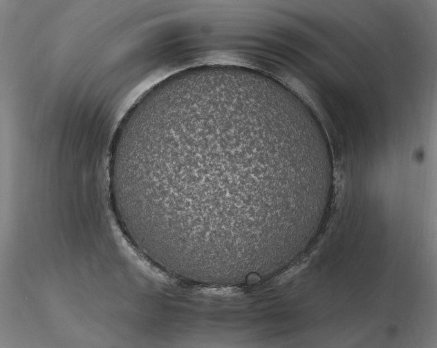 X0000116481133200912231125