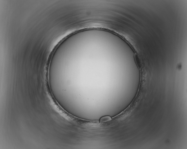 X0000116481134200912231125