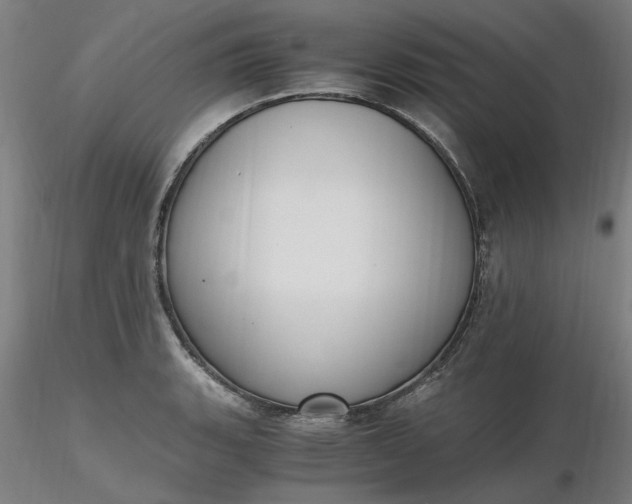 X0000116481135200912231125