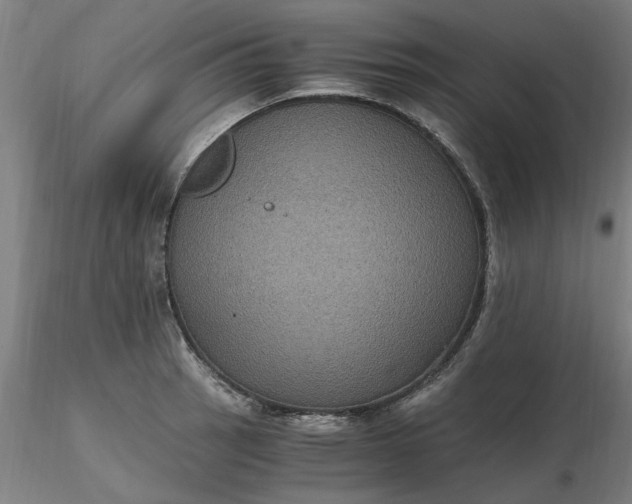 X0000116481137200912231125