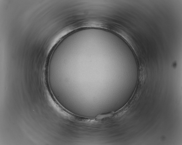 X0000116481139200912231125