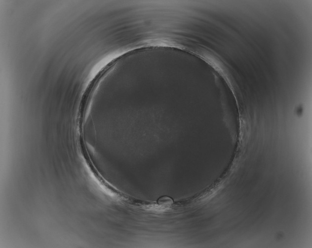 X0000116481141200912231125