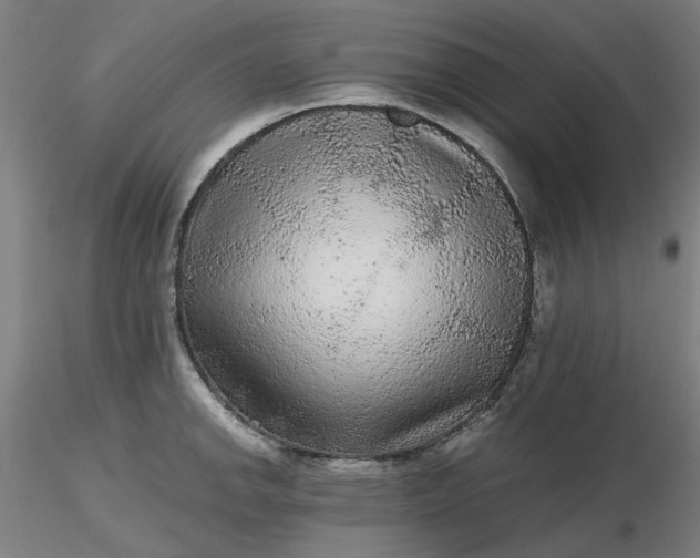 X0000116481142200912231125