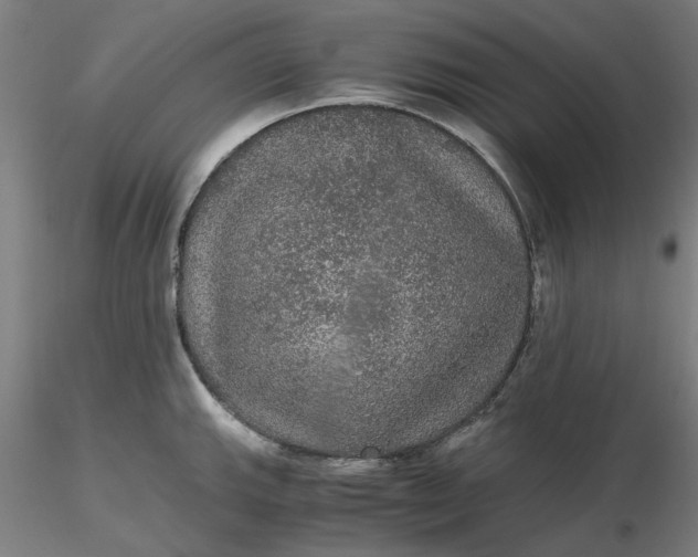 X0000116481143200912231125