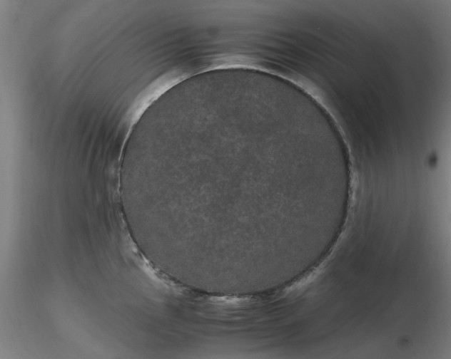 X0000116481145200912231125