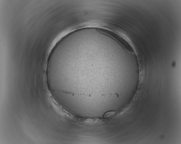 X0000116481146200912231125