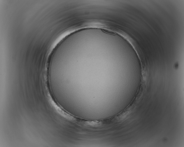 X0000116481147200912231125