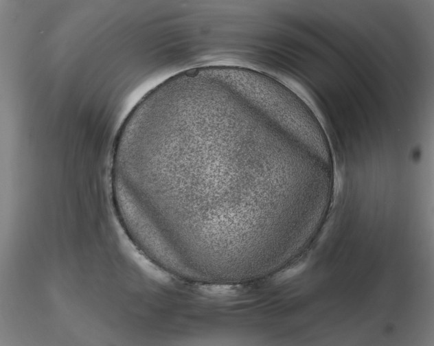 X0000116481149200912231125