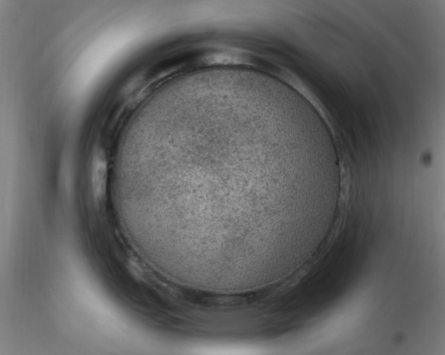 X0000116481151200912231125