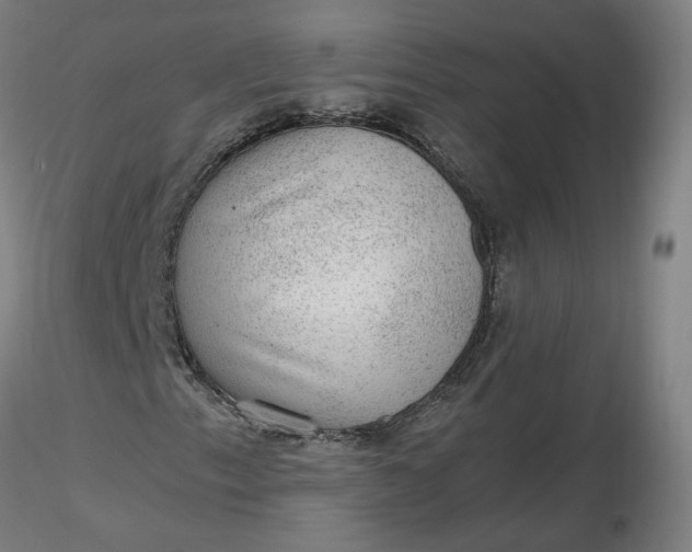 X0000116481153200912231124