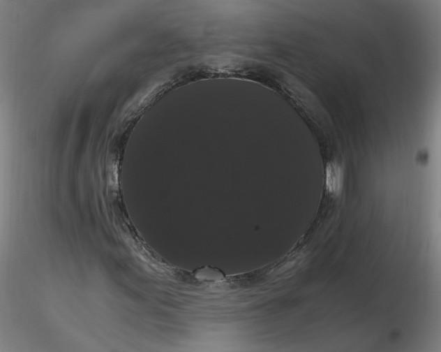 X0000116481155200912231124