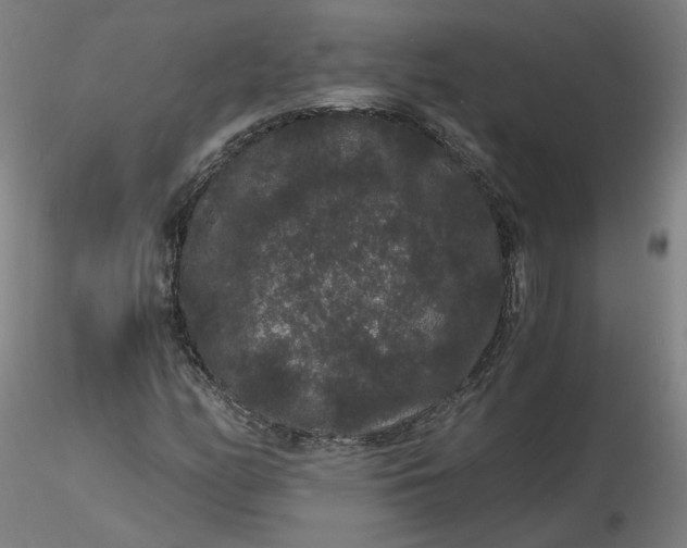 X0000116481158200912231124